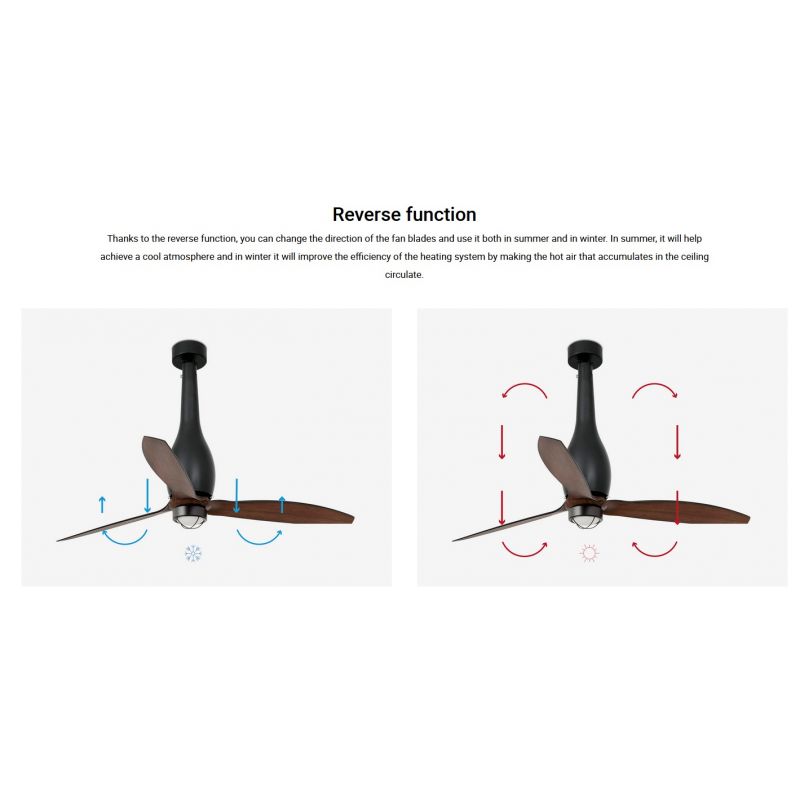 Lustra cu Ventilator si telecomanda ETERFAN M LED negru mat/nuc