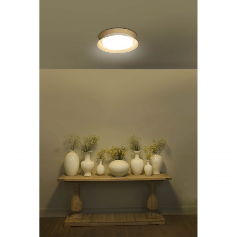 Lustra / Plafoniera LED design modern Ø45cm TENDER alba