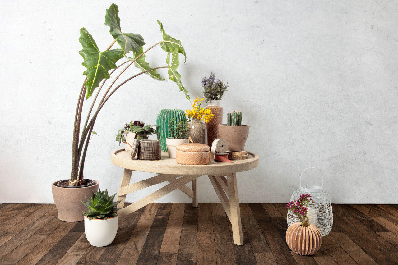 Masa de cafea maro/gri din lemn 81 cm Tenda Kave Home