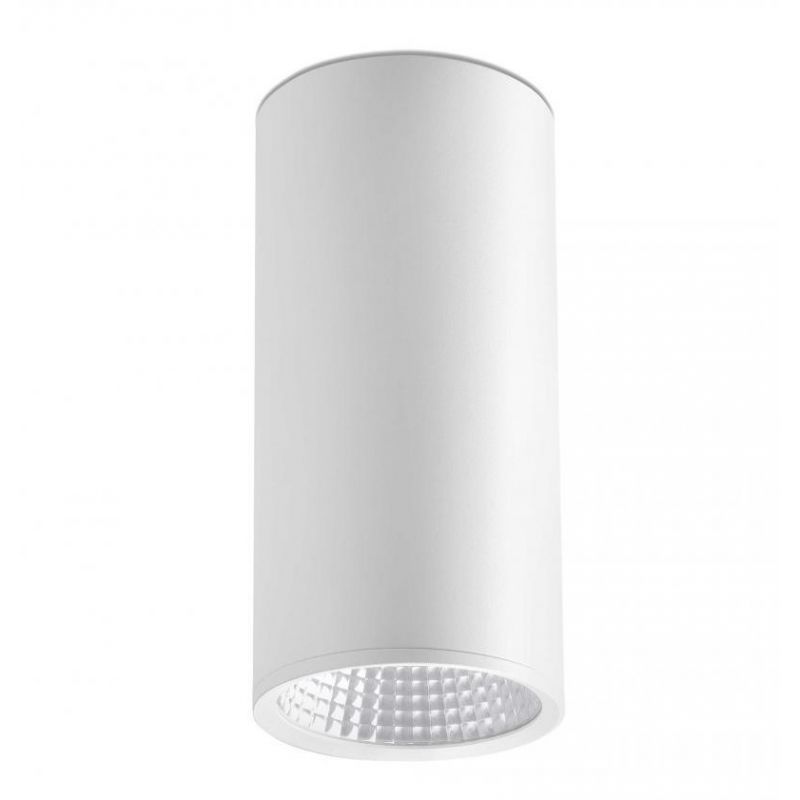 Plafonier, spot alb cu iluminat LED, REL-P