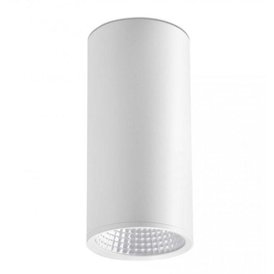 Plafonier, spot alb cu iluminat LED, REL-P